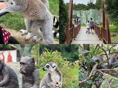 -杭州野生动物世界