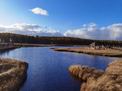 -塞罕坝国家级自然保护区