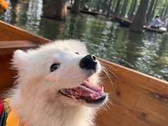 -渌洋湖湿地公园