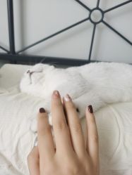 -晨·艺美甲美睫