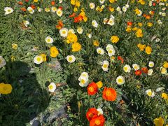 -名花谷生态庄园