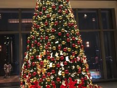 -三迪希尔顿酒店·星空酒廊