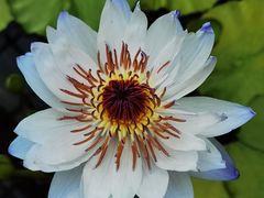 -北京植物园-展览温室