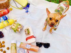 -前小桔亲子创意农场·草莓采摘·露营烧烤