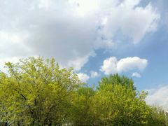 -辽宁大学(崇山校区)