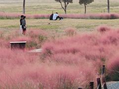 -汉长安城未央宫国家考古遗址公园
