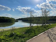 -丁香湖公园