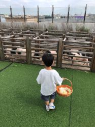 点击看大图 -小蜜蜂农场(凯德七宝购物广场店)