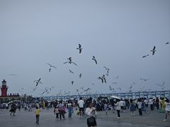 -星海广场
