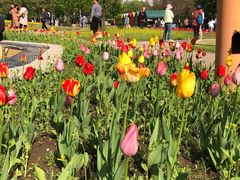 -长春公园(普阳街道)