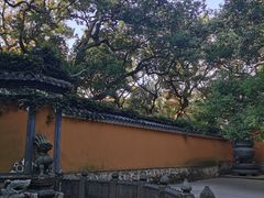 -普陀山风景名胜区-法雨禅寺