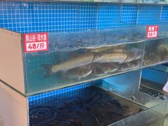 -费明中罗非鱼(大石坝店)
