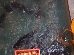 -旭龙鱼头王(航华店)