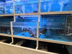-聚丰园•湖鲜餐厅(阿红私房菜梅石路店)