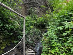 -峡谷浮石林景区