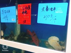 -鑫悦楼煎蟹·16年海鲜大排档
