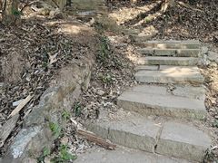 -杭州半山国家森林公园