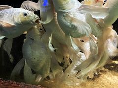 -太平洋海底世界