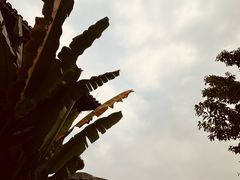 -两江国际影视城