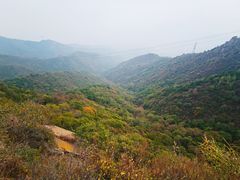 -阳台山自然风景区