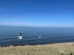 -青海湖国家重点风景名胜区