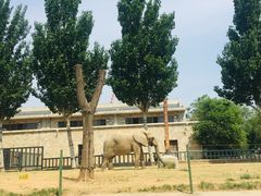 -石家庄市动物园