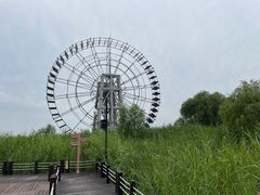 -苏州太湖湖滨国家湿地公园