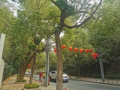 -天井湖游乐园