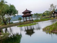 -渤公岛生态公园