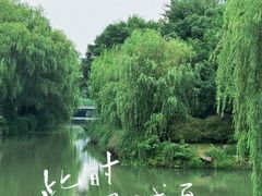 -桐乡植物园