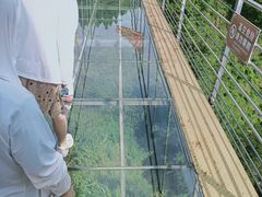 -磐安舞龙峡景区