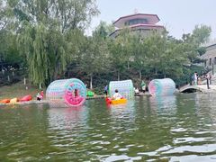 -青龙湖公园