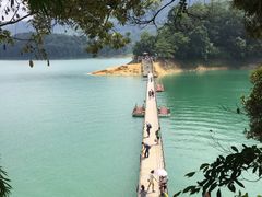 -广州市流溪河国家森林公园
