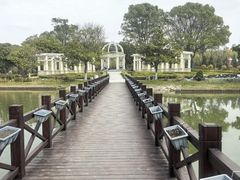 -上海鲜花港