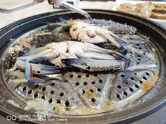 -越百海海鲜蒸锅(乐山店)