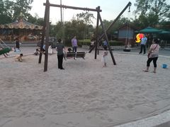 -成飞公园