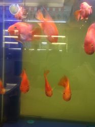 -蕾特恩祛痘•皮肤管理