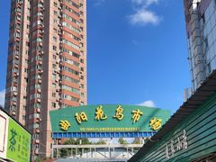 -曲阳花鸟市场(曲阳路店)