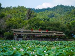 -红山村