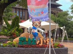 -苏州乐园森林水世界