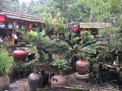 -青城甲(青城山店)