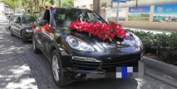 -蚂蚁婚车