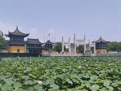 -品鲜村农家菜·阳澄湖大闸蟹(总店)