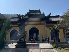 -树山生态村