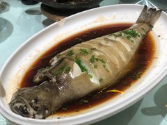 -龙咏记四季家福烤鸭中餐厅(滨湖店)
