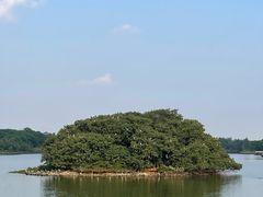 -海珠湖公园