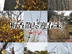 -丰台花园