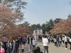 -青岛中山公园-索道售票处