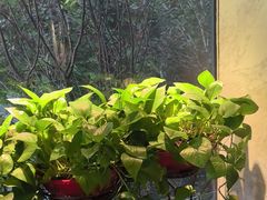 -一澜江宴·江景地标楚菜(江滩公园店)