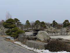-中国唐苑